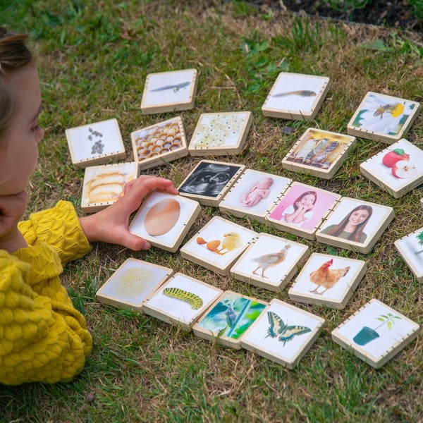 Tickit Wooden Lifecycle Tiles