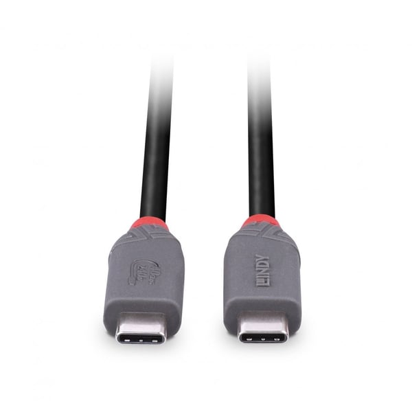 Lindy 36958 USB-kablar USB4 Gen 3x2 2 m USB C 40 Gbit/s 240 W Svart