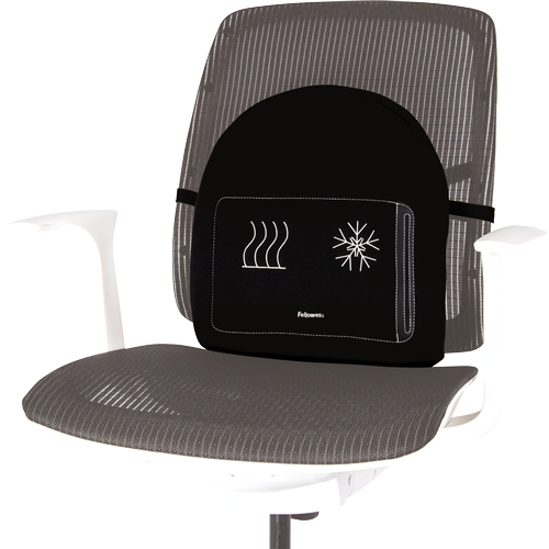 Fellowes 8041901 ryggstöd Svart