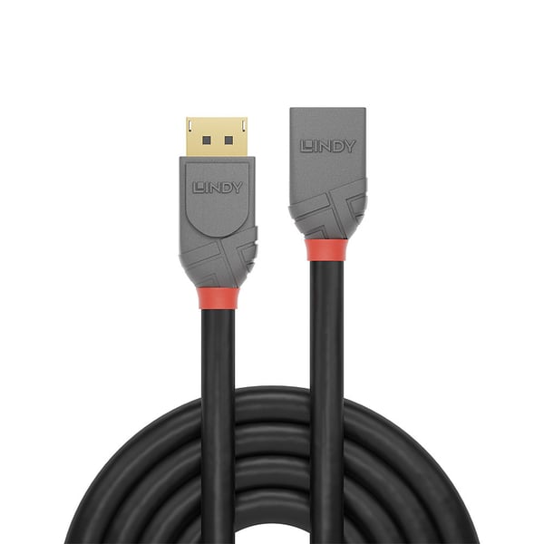 Lindy 36495 DisplayPort-kabel 0,5 m Svart