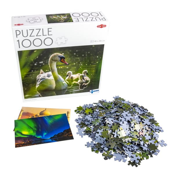Tactic Puzzle Lovers Swan on Lake with Babies 1000 palan palapeli