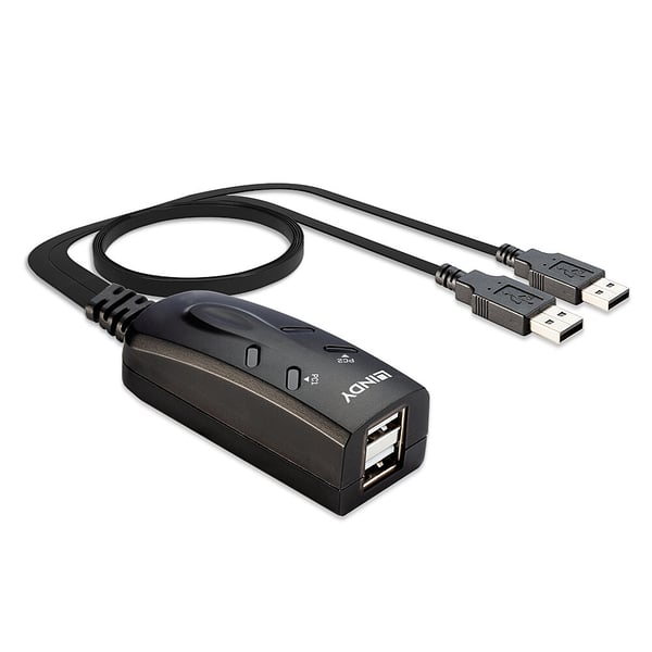 Lindy 32165 KVM-switchar Svart