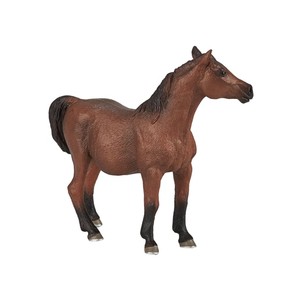 Mojo Fun Arabian Mare in Foal