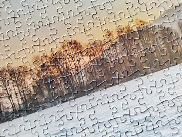 Tactic Puzzle Lovers Winter Swimming 1000 palan palapeli
