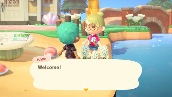 Nintendo Animal Crossing : New Horizons Vakio Nintendo Switch