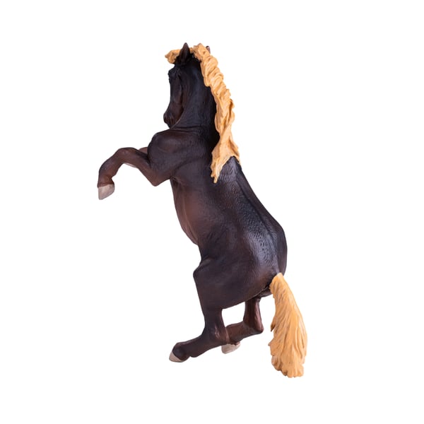 Mojo Fun Brumby Stallion