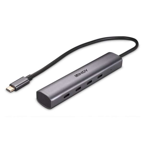 Lindy 43384 gränssnittshubbar USB Type-C 10000 Mbit/s Grå