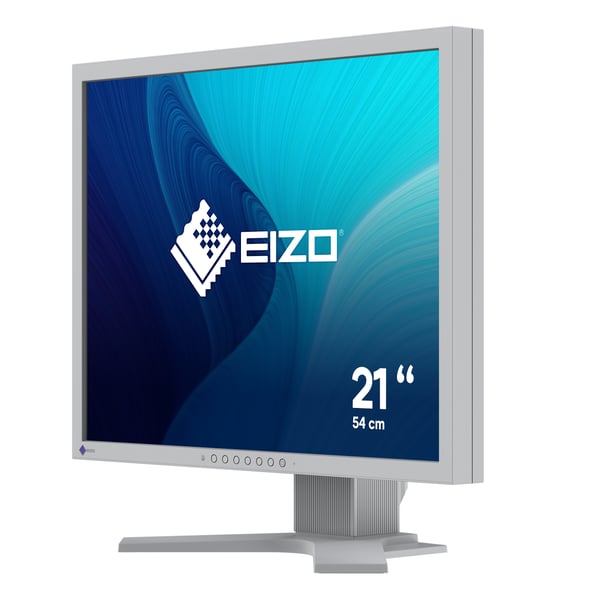 EIZO FlexScan S2134 - LED-monitori - 54 cm (21,3\")
