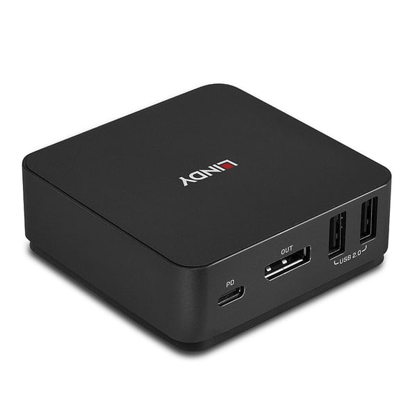 Lindy 42320 KVM-switchar Grå
