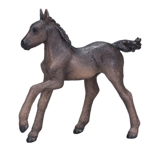 Mojo Fun Arabian Foal Black
