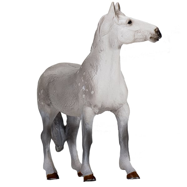 Mojo Fun Orlov Trotter