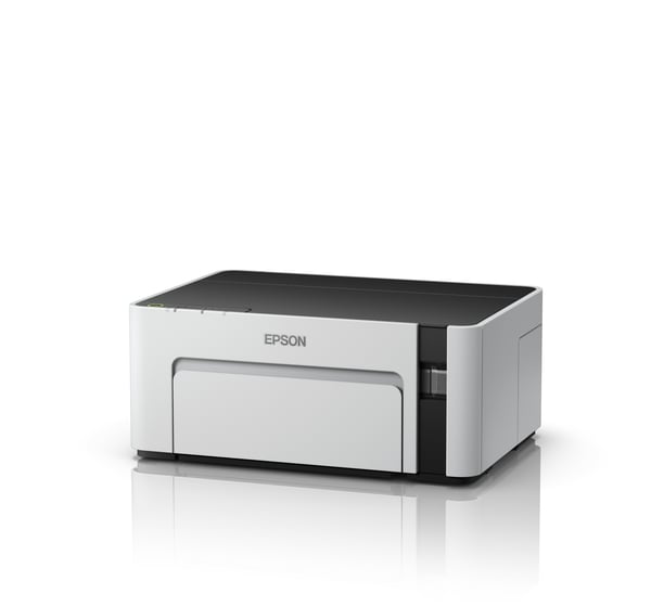 Epson EcoTank M1100 mustesuihkutulostin 1440 x 720 DPI A4