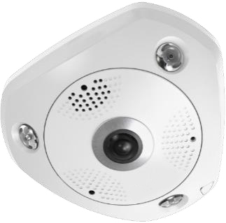 LevelOne FCS-3095 bevakningskameror Sfärisk IP-säkerhetskamera Inomhus & utomhus 4000 x 3000 pixlar Tak/vägg/bord
