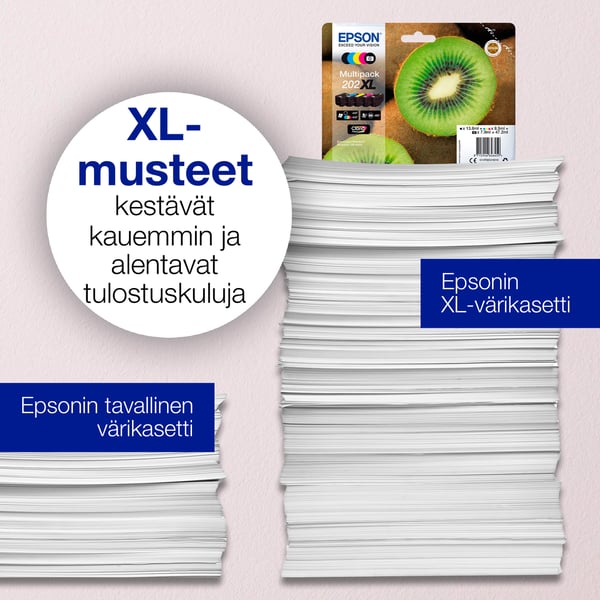 Epson Kiwi Singlepack Black 202 Claria Premium Ink