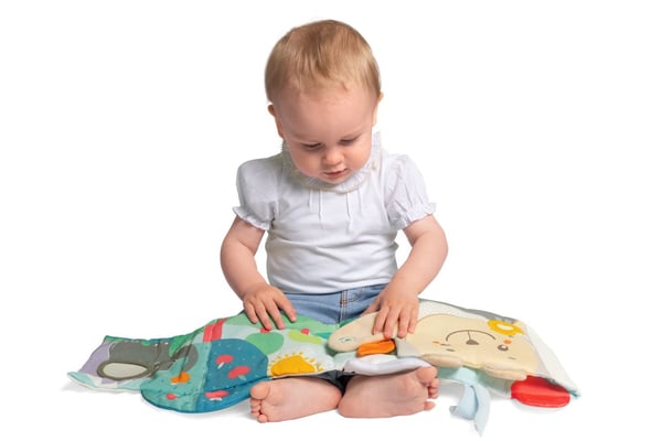 Chicco Classic 00012162000000 utbildningsleksaker