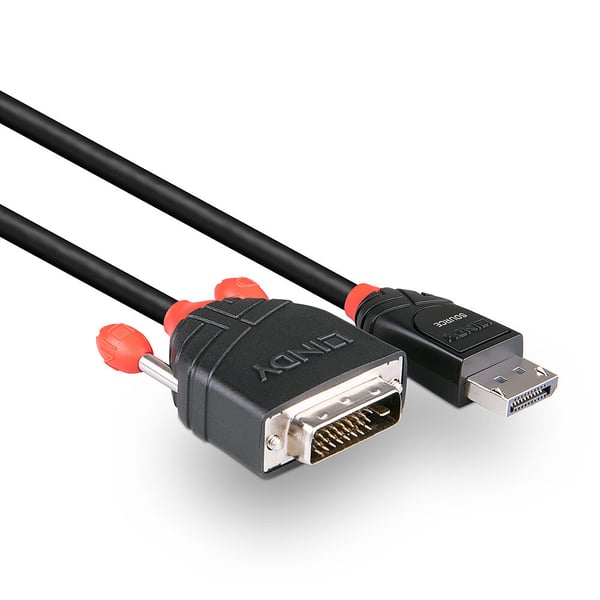 Lindy 41491 videokabel adapter 2 m DisplayPort DVI-D Sort