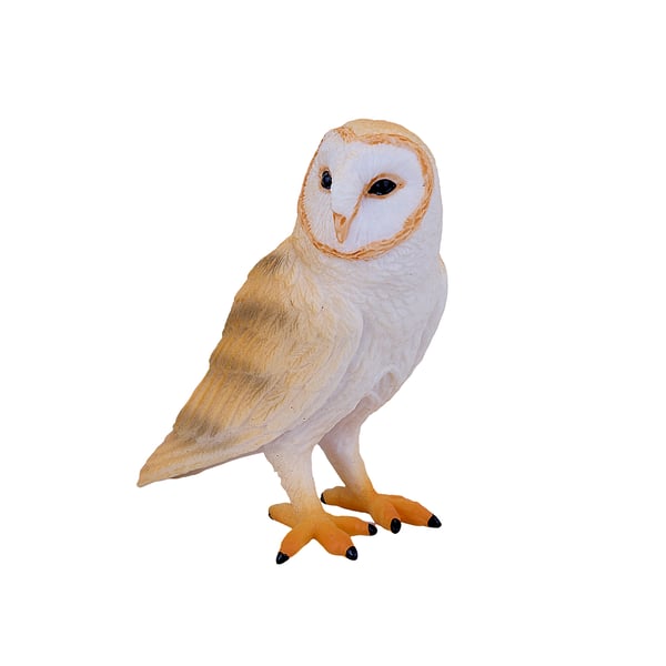 Mojo Fun Barn Owl