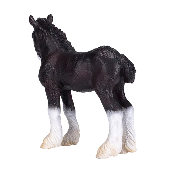Mojo Fun Shire Foal