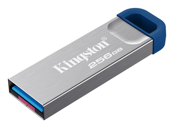 Kingston Technology DataTraveler Kyson USB-sticka 256 GB USB Type-A 3.2 Gen 1 (3.1 Gen 1) Rostfritt stål