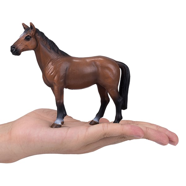 Mojo Fun Trakehner (Portugal)