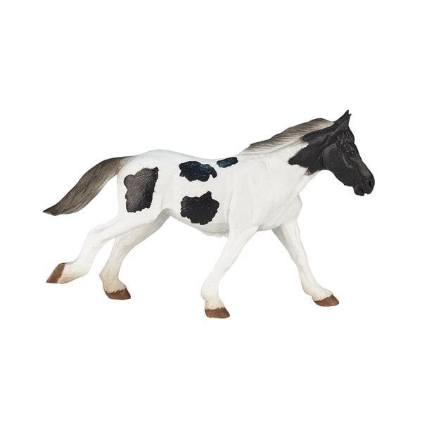 Mojo Fun Irish Cob Yearling