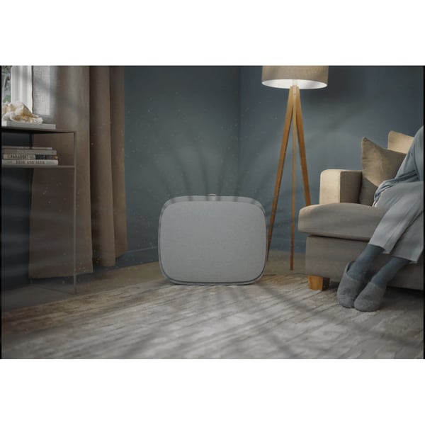Electrolux EFWBTH3 Luftrenarfilter