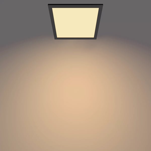 Philips Funktionel Panel loft, loftslampe, 12 W, firkant