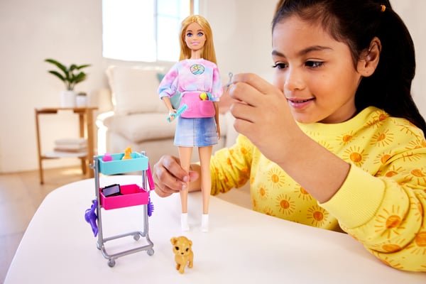Barbie Doll and Accessories