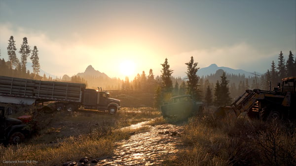 Sony Interactive Entertainment Days Gone Standard PlayStation 4