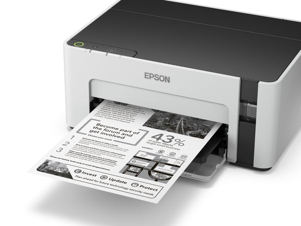 Epson EcoTank M1100 mustesuihkutulostin 1440 x 720 DPI A4