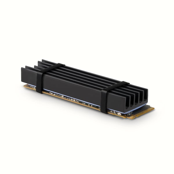 Axagon CLR-M2L10 Computerkølesystem M.2 NVMe SSD, Solid-state drev Køleplade/køler Sort 1 stk