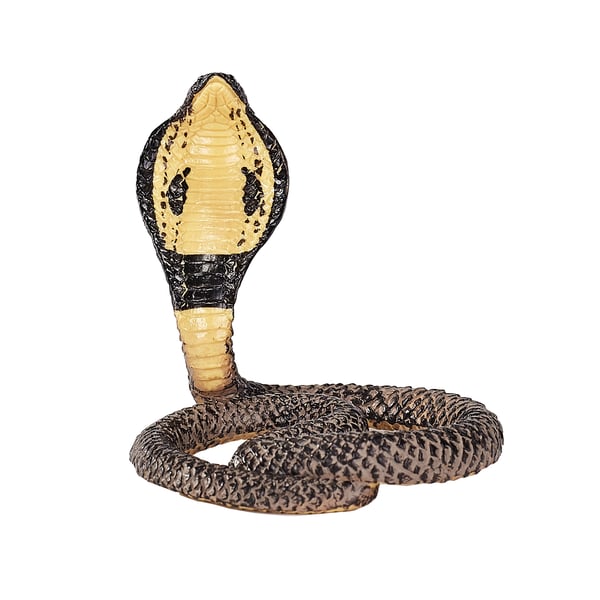 Mojo Fun King Cobra