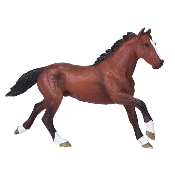 Mojo Fun Thoroughbred (Portugal)