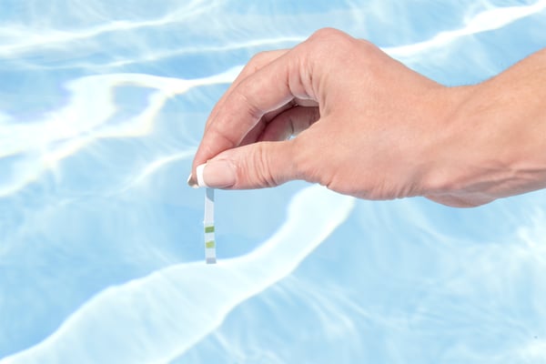 Bestway 58794 tillbehör till bassäng- och pooldammsugare Vakuumhuvud, kit Termometer
