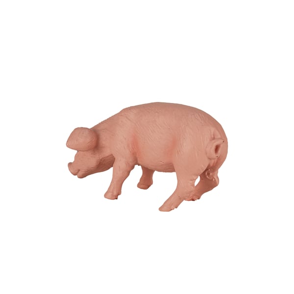 Mojo Fun Piglet Feeding