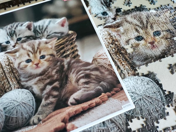 Tactic Cute Kittens 1000 pcs Puslespil 1000 stk Dyr