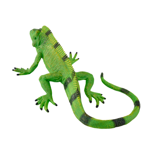 Mojo Fun Iguana
