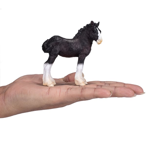 Mojo Fun Shire Foal