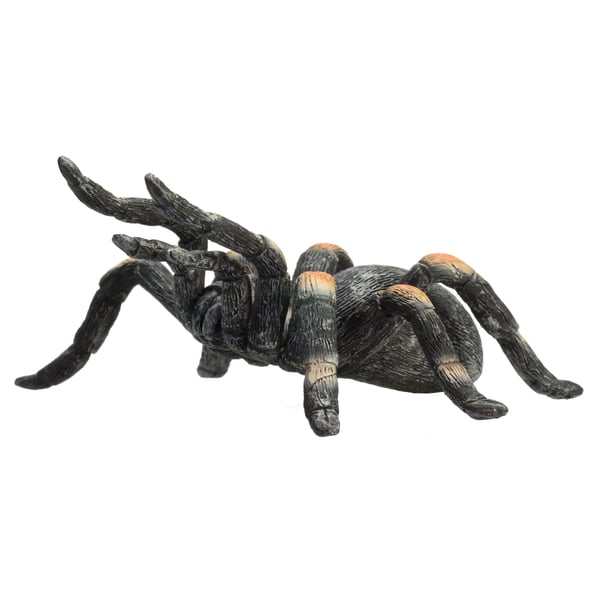 Mojo Fun Red Kneed Tarantula
