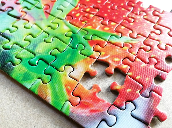 Tactic Lover's Special: Berrymania! - 500 pcs Puslespil 500 stk Mad og drikkevarer