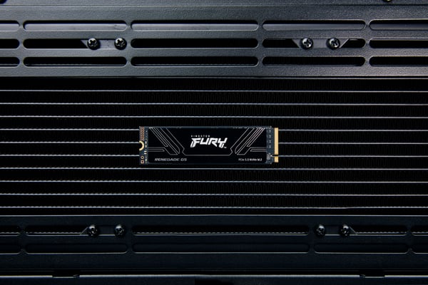 Kingston Technology 4T FURY RENEGADE G5 M.2 2280 NVMe SSD