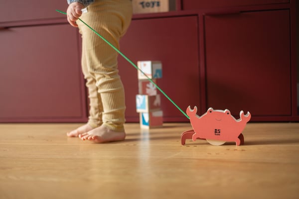 BS Toys GA500 push-pull lelu