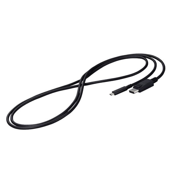 EIZO CP200-BK DisplayPort-kabel 2 m USB Type-C Svart