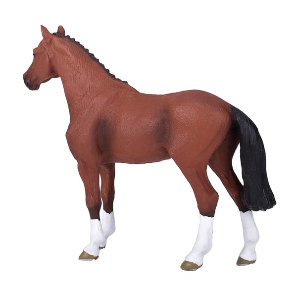 Mojo Fun Dutch Warmblood (Portugal)