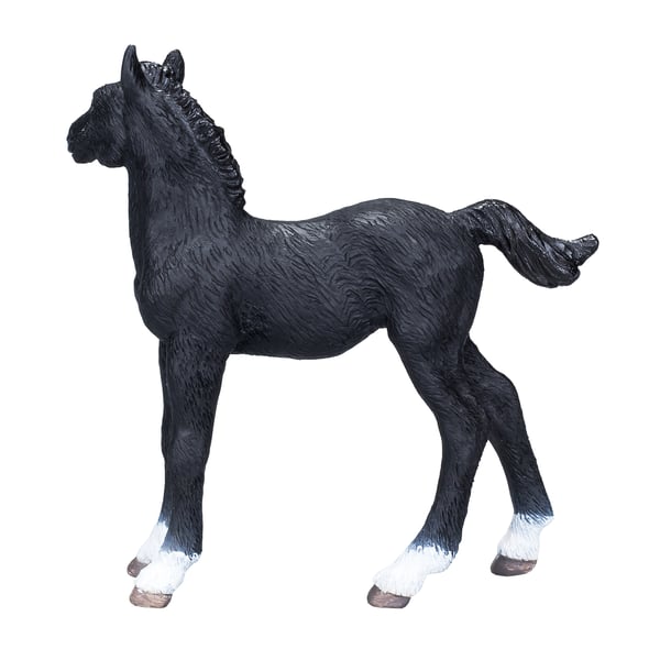 Mojo Fun Hanoverian Foal Black