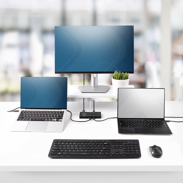 StarTech.com C2-H46-UC2-PD-KVM KVM-switchar Svart