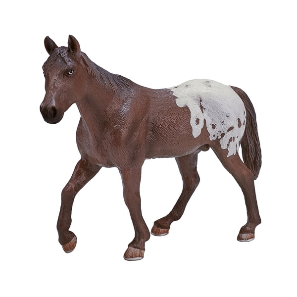 Mojo Fun Appaloosa Stallion Chestnut