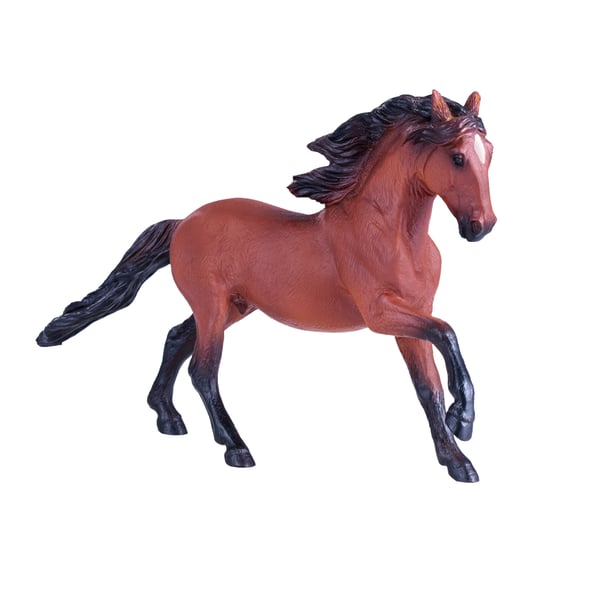 Mojo Fun Lusitano