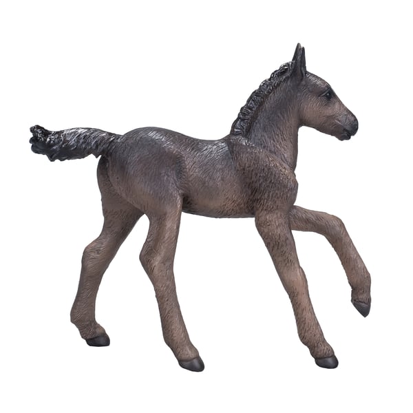 Mojo Fun Arabian Foal Black