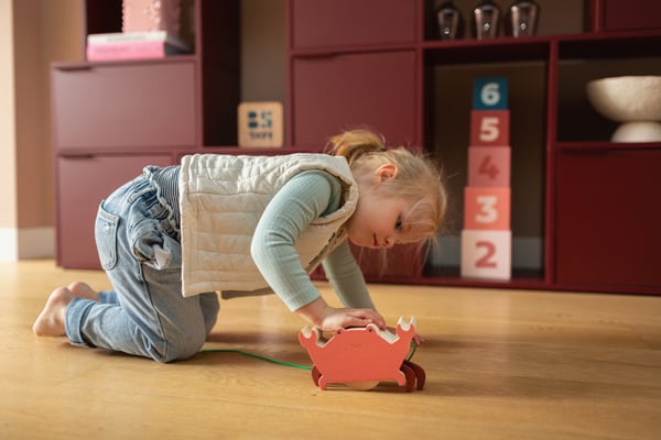 BS Toys GA500 push-pull lelu